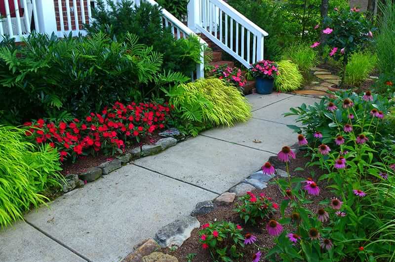 Path walk with beautiful landscaping